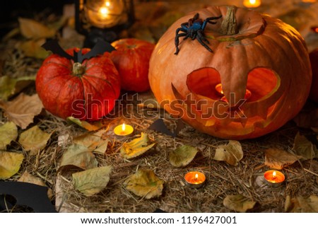 Halloween pumpkin lantern on a black background