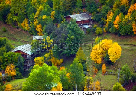 most beautiful autumn landscape photos.artvin /savsat