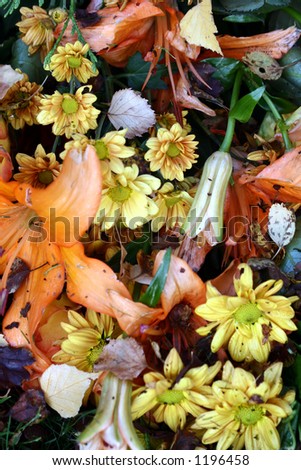 closeup picture of dead flowers in a cemetary in denmark