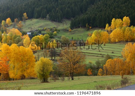 autumn colorful trees and villages. artvin/savsat /turkey