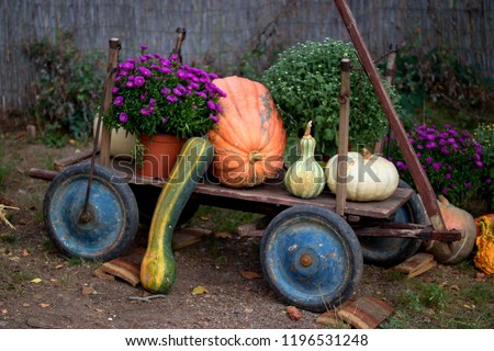 Autumn decoration with pumpkins and flowers on a cart