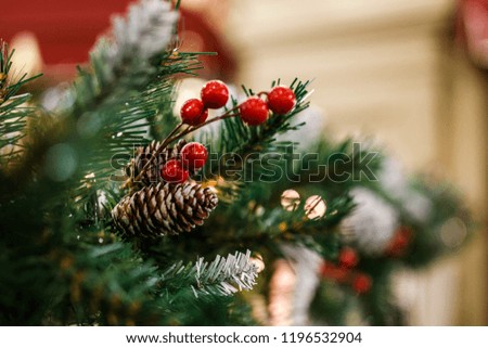 Photo of New Year branch of fir tree with cones, red berries