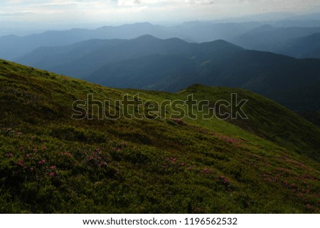                 Mountain landscape view              