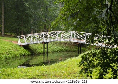 Wooden humpback bridge over the pond in the park
