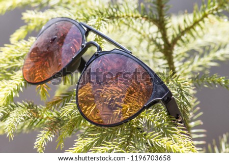 Closeup shot of sunglasses on top of tree