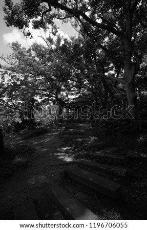 Black and white, natural beauty at Ryutan in Spring, Okinawa, Japan, Asia