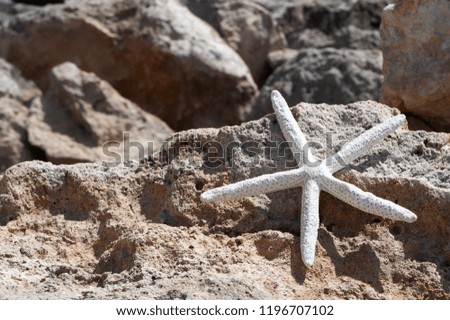 The theme of the beach, recreation, vacation. Sea, sand, rocks and starfish, space for text