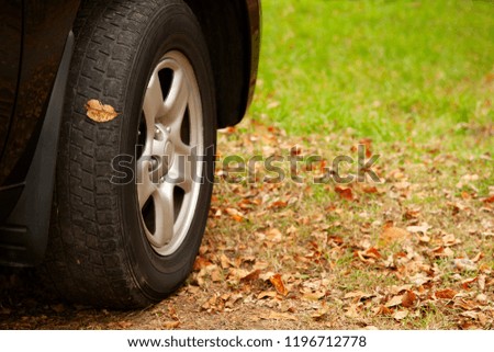 Car wheel on the autumn leaves. The car stands on the autumn dry leaves. Autumn season in urban setting.