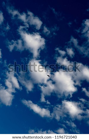 Tiny white clouds on a purple background