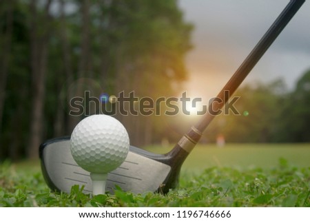 Golf club and golf ball on green grass ready to play.Morning sunshine with fresh feeling.Popular sports of people around the world that help keep you healthy and enjoy.