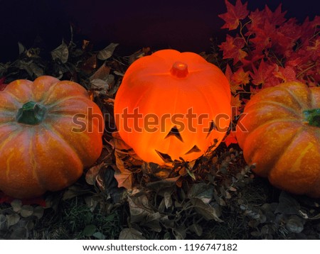 Pumpkin and Halloween.