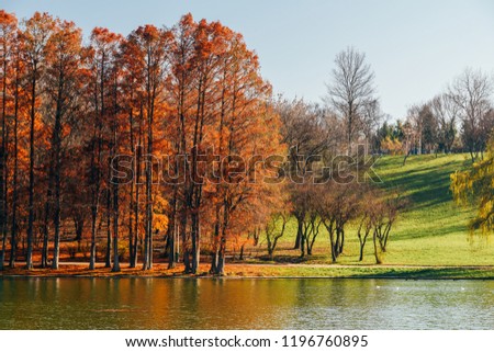 Autumn Trees Landscape Of Tineretului Park In Bucharest, Romania In Fall Season Royalty-Free Stock Photo #1196760895