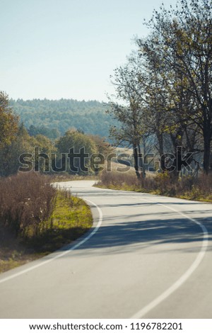 Early autumn sunny road