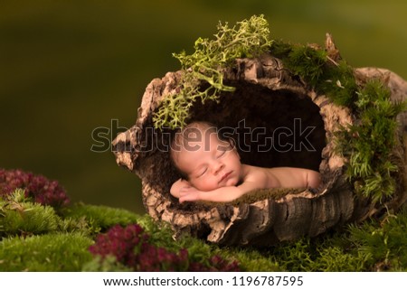 Newborn baby sleeping in a cork tree trunk Royalty-Free Stock Photo #1196787595