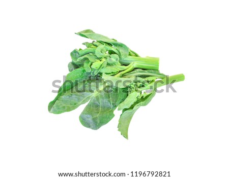 Chinese kale on white background
