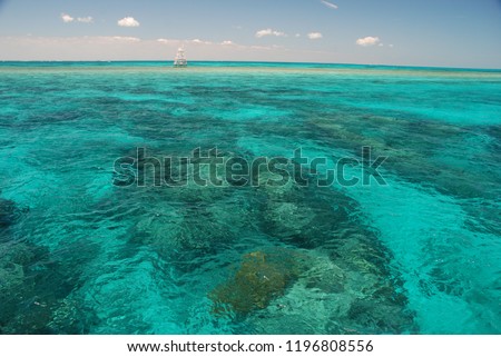 Amazing colors of coral reefs in John Pennekamp State Park, Key Largo - Florida U.S.A.