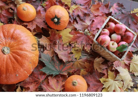 Apples, Pumpkins, Fall Leaves. Autumn harvest concept. Thanksgiving, Halloween, basket, top view