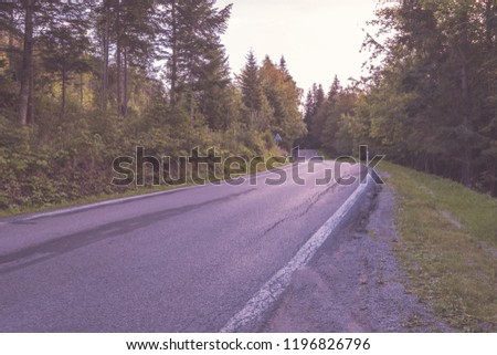 asphalted road leading up to the mountains in forest. summer time in slovakia, wavy lines and perspective - vintage retro look - vintage color look