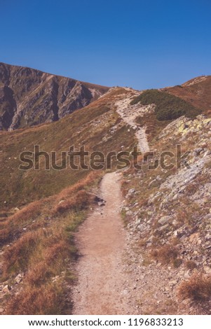 hiking trail on top of the mountain. Tatra, Slovakia. Western carpathian mountains in early autumn colors with clean air. Tourist track - vintage retro look - vintage color look