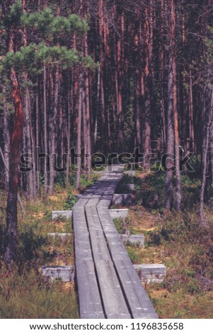 wooden footpath in swamp with beautiful evening sun light in green foliage of summer bog. boardwalk in perspective view - vertical, mobile device ready image - vintage retro look