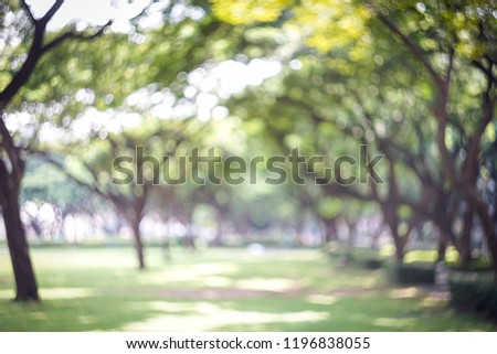 Abstract background: Blurred green trees and grass