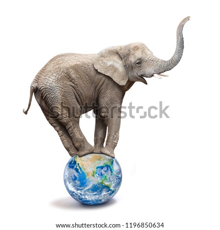 African elephant - Loxodonta africana balancing on a blue planet or globe. Ecology metaphor.