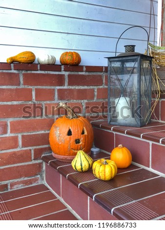 Pumpkins in autumn