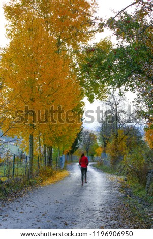 lonely woman doing a walk during the autumn season.artvin/savsat