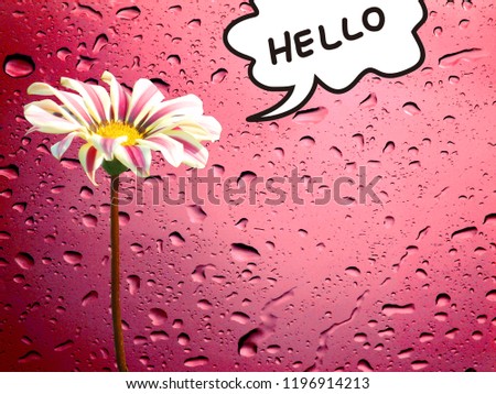 rain drops on window glass,paper notes ,Rainy Day Illustration,cute flower in the rain