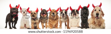 adorable haloween dogs wearing red devil horns, collage picture