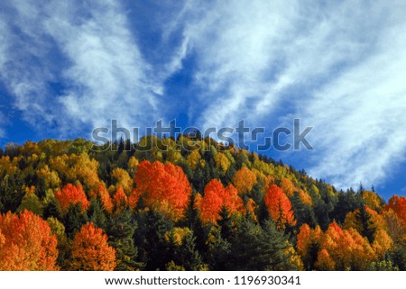 gorgeous autumn photos.artvin/savsat