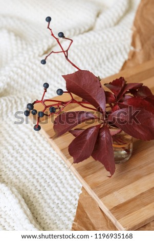 Wild grapes on wooden background.