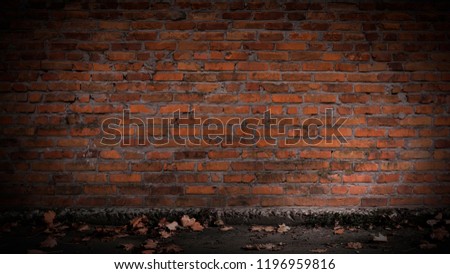background empty brick wall on the street, asphalt, yellow leaves autumn, sunlight, City street background