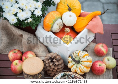 Autumn festival decoration with still life of pumpkins, flowers, nuts and apples on wooden table