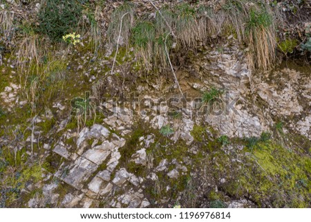 Italy, Lecco, Lake Como,  Moss growing on the wall
