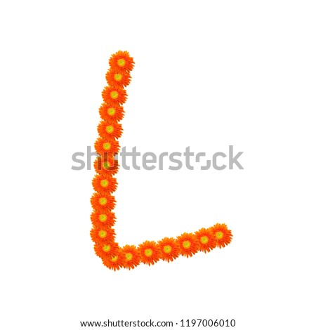Number and letter alphabet from orange gerbera flowers isolated on white background.