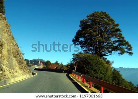The green trees beside the highway of Blue sky and high mountains.