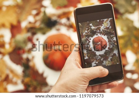 Hand holding phone and taking photo of stylish autumn flat lay of pumpkin in leaves wreath with berries, nuts, acorns on white background. Modern mobile photography. Happy Thanksgiving