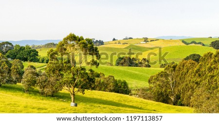 Countryside of Southern Victoria, Australia.