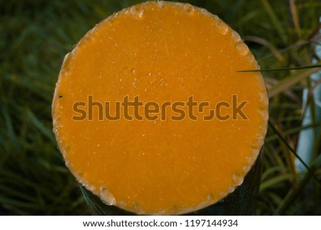 Fresh cut pumpkin with shed drops of juice