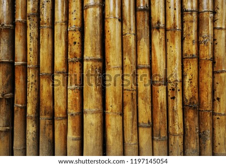Bamboo wood abstract background