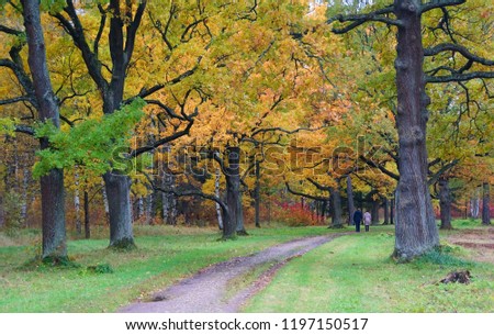 Autumn walk in Babolovsky Park in Tsarskoe Selo