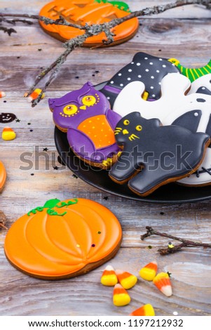 Assortment of gingerbread cookies - owl, witch, pumpkin, hat, ghost and black cat on black plate. Trick or treat, kids party or candy bar concept. Copy space