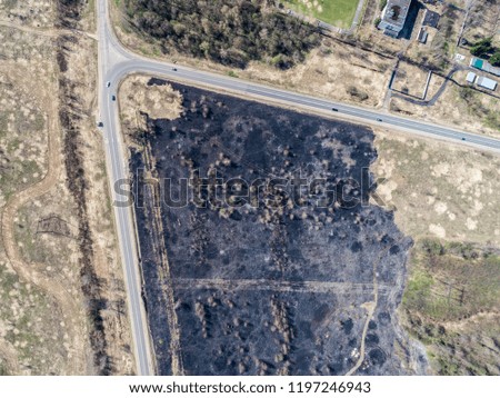burnt field texture on top