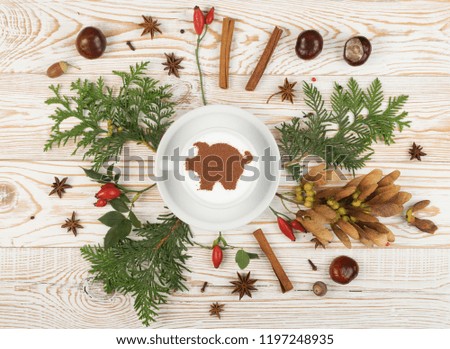 Macchiato or Latte Cappuccino on Rustic Wooden Background with 2019 New Year Pig Symbol and Aromatic Spices. Holiday Mockup with Hot Coffee Cup and Piggy Silhouette on Cream Milk Foam Top View