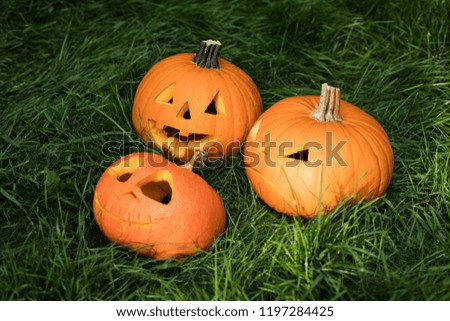 halloween carved pumpkin, jack-o-lantern