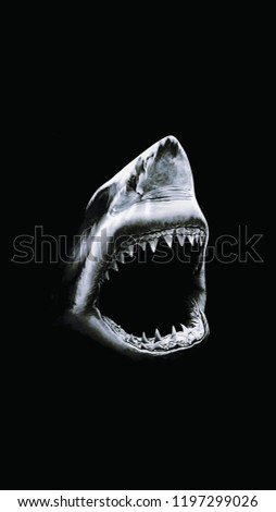 Shadow Black Shark 