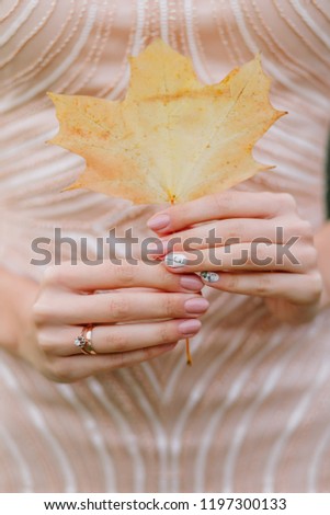 The bride holds an autumn leaf. Maple leaf in the hands of the girl.