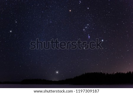 Orion and Canis Minor constellations and Sirius above horizon on a cold winter night.