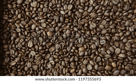 Roasted coffee beans for picture background.